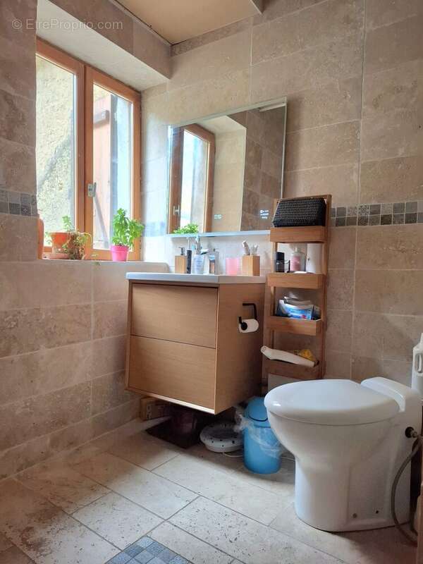 Maison à BEAUMONT-SUR-SARTHE