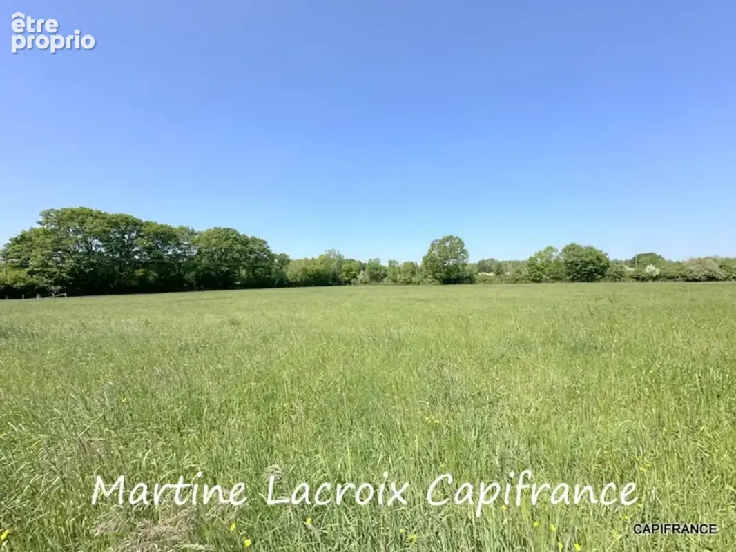 Dpt SARTHE (72), à vendre SAINT GEORGES DU ROSAY - PROPRIÉTÉ  P7 de 163 m² - Terrain de 3,04 Ha - photo 31