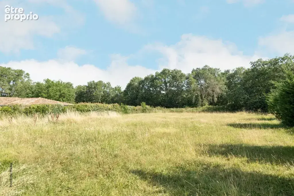 Maison T4 de 160m² à Bouloc – Pièce de vie 76m², terrain 2800m² au calme - photo 4