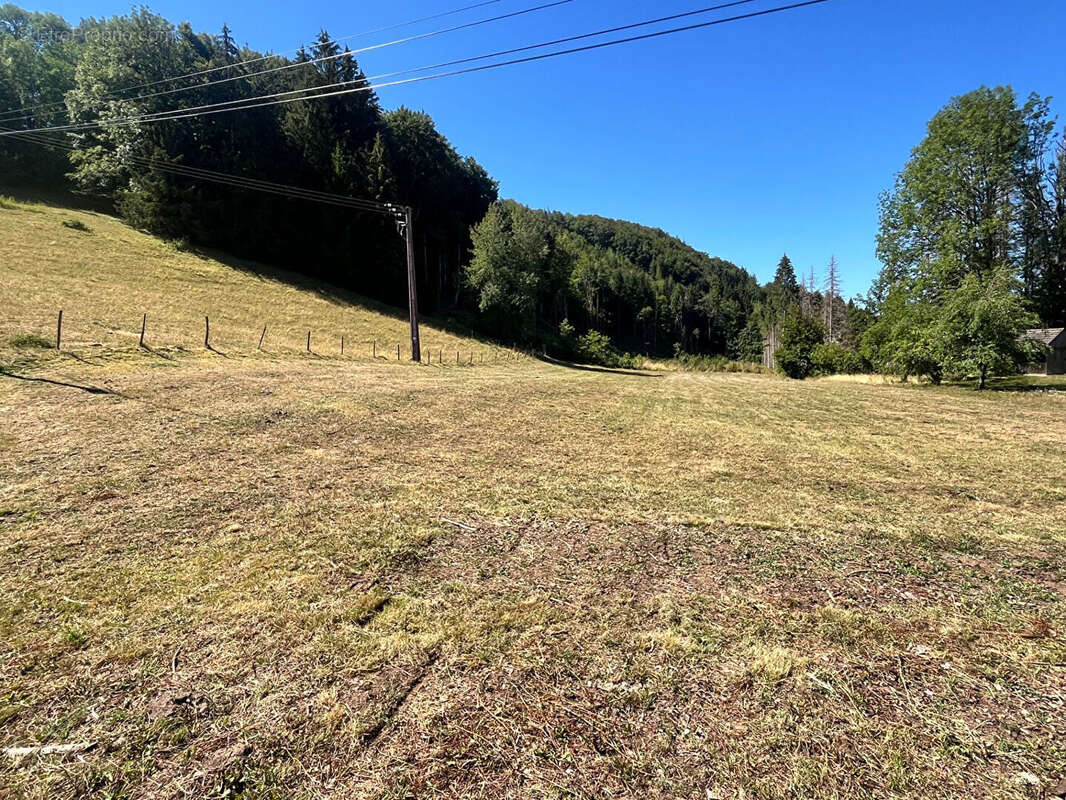 Terrain à FONCINE-LE-HAUT