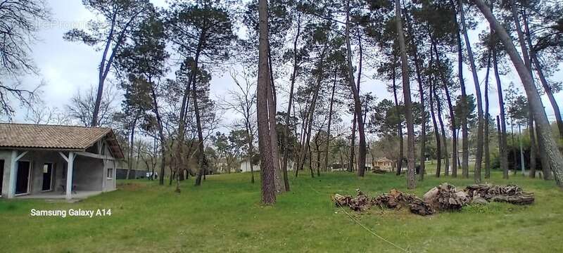 Maison à CASTELJALOUX