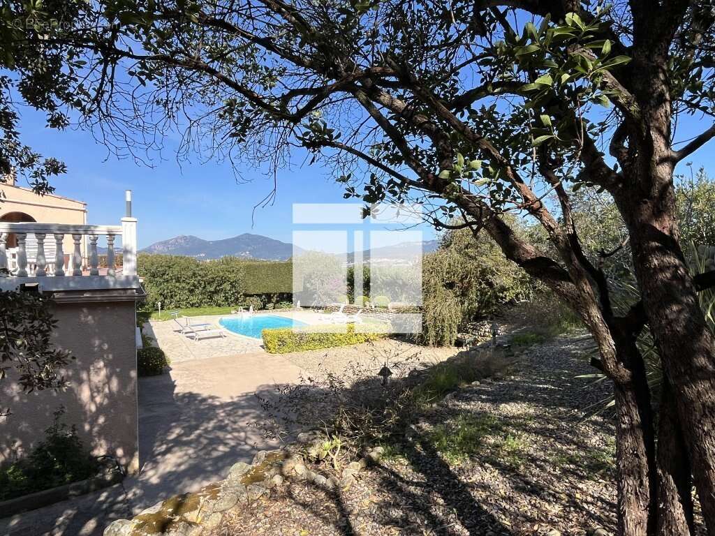 Maison à PIETROSELLA