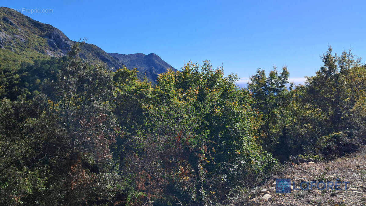 Terrain à CASTILLON