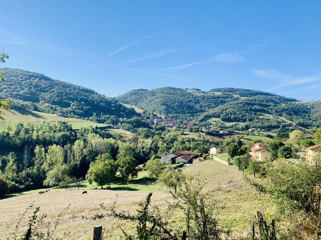 Terrain à MONTROMANT