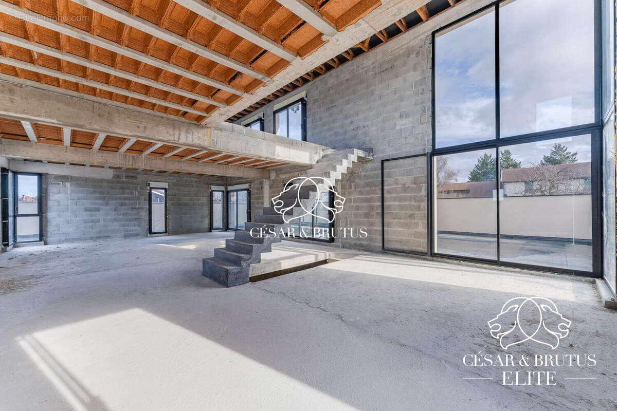 Maison 330 m² à Mions  - photo 4