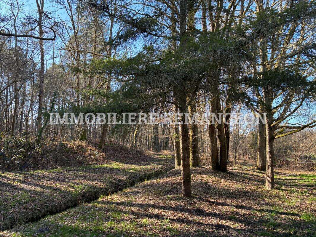 Maison à NEUVY-SUR-BARANGEON