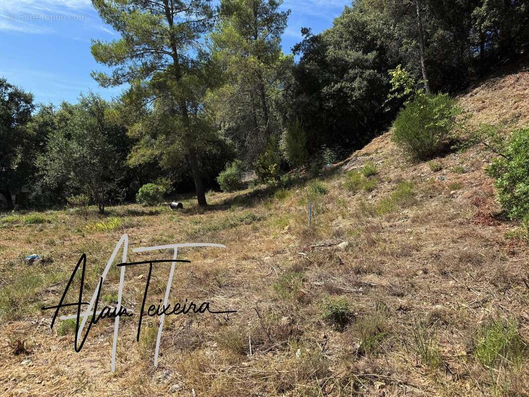 Photo 2 - Terrain à TARADEAU