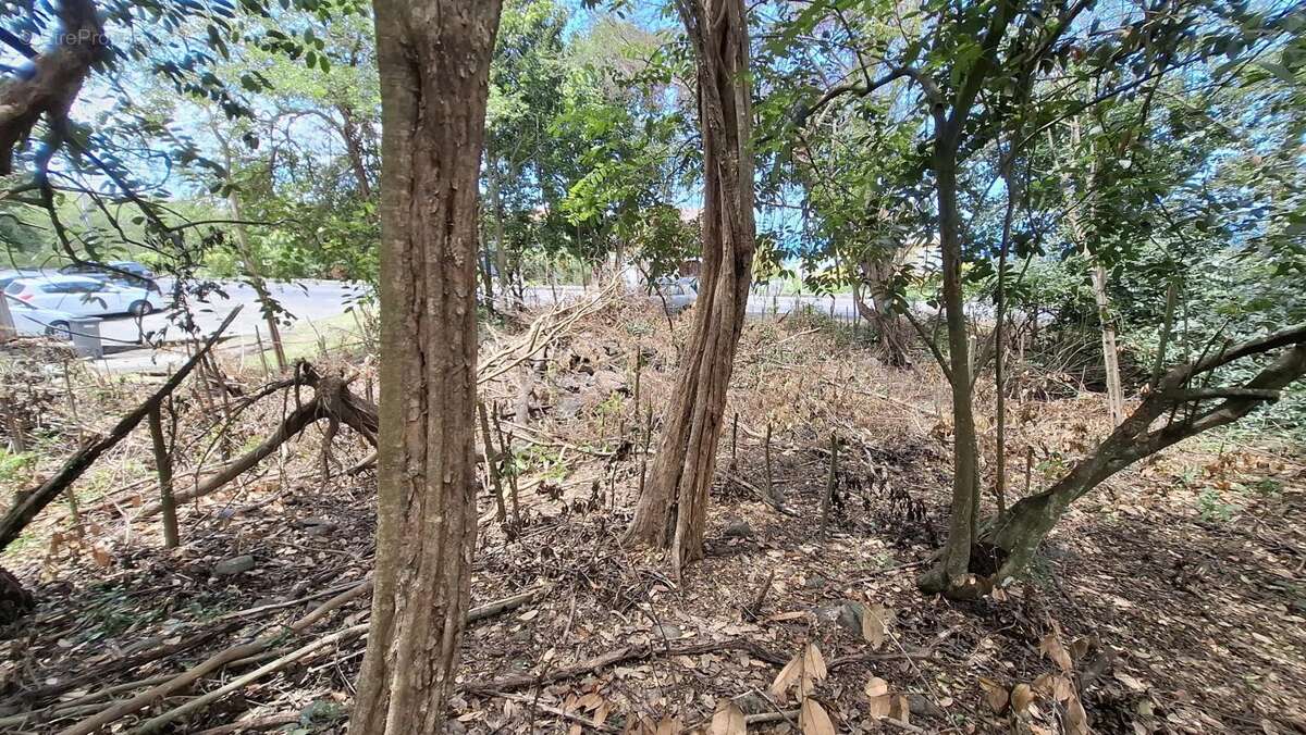 Terrain à BOUILLANTE