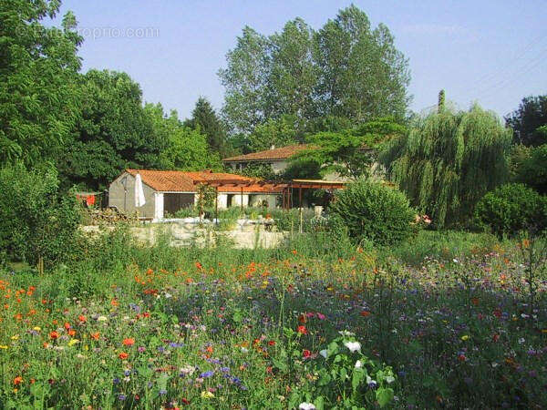 OVERVIEW - Maison à SAINT-FRAIGNE