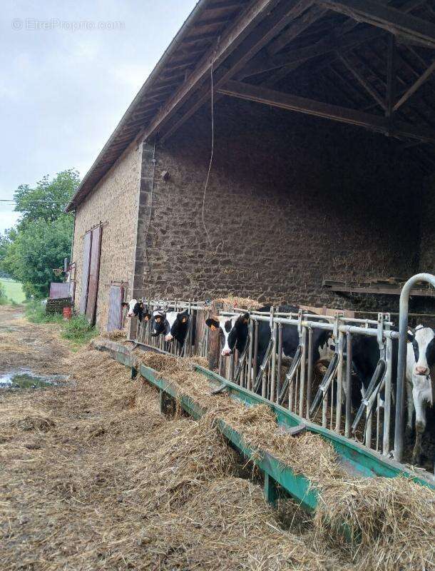 Maison à SAINT-LAURENT-SUR-GORRE