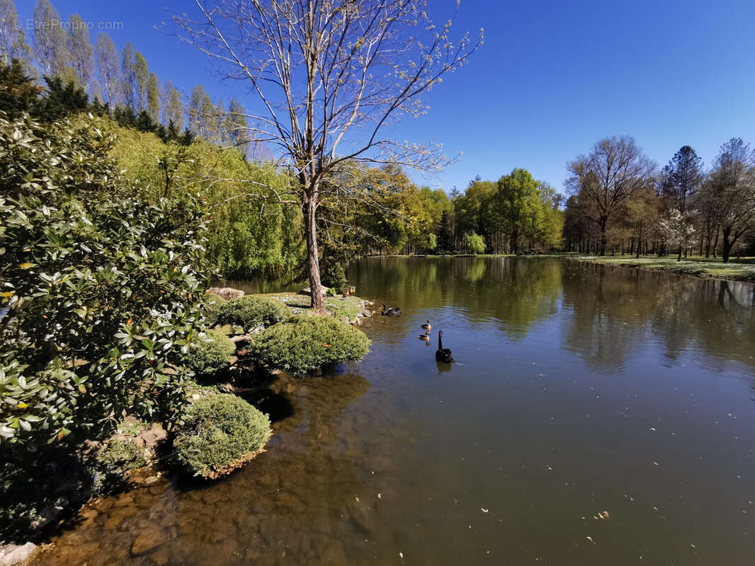 Maison à ROMORANTIN-LANTHENAY