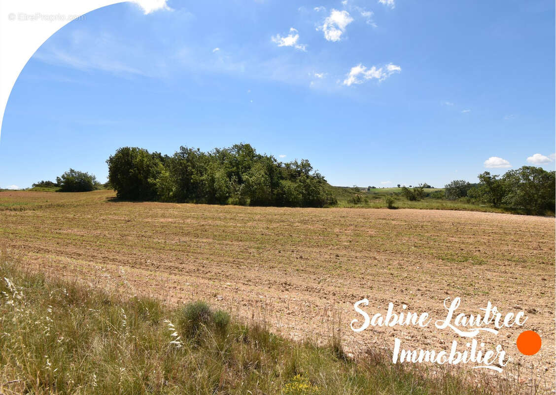 Terres agricoles sur le terroir de l'aïl rose de Lautrec - photo 4