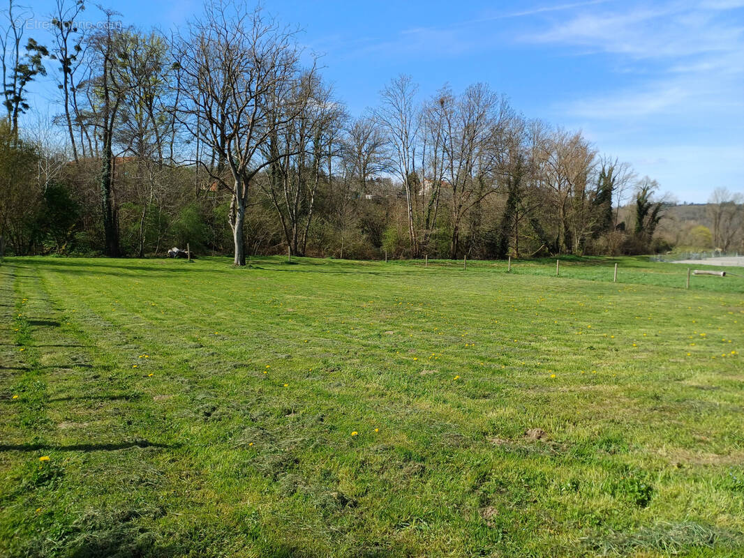 Terrain à THIERS