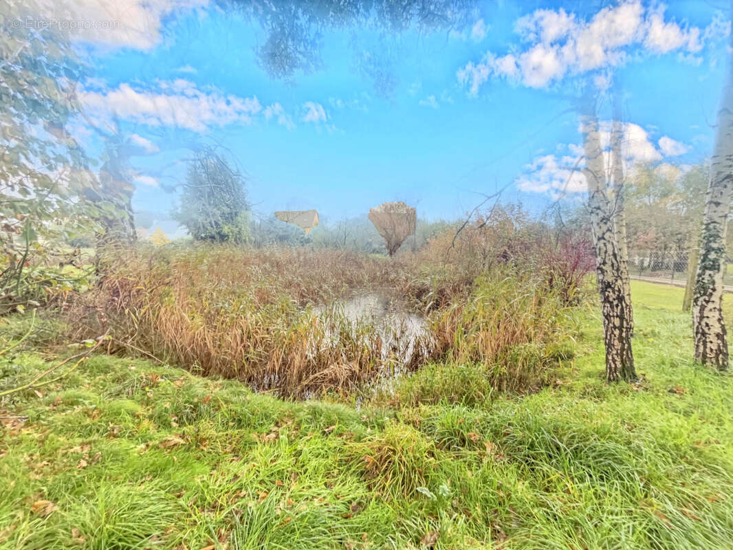 Maison à SAINT-JEAN-LE-THOMAS