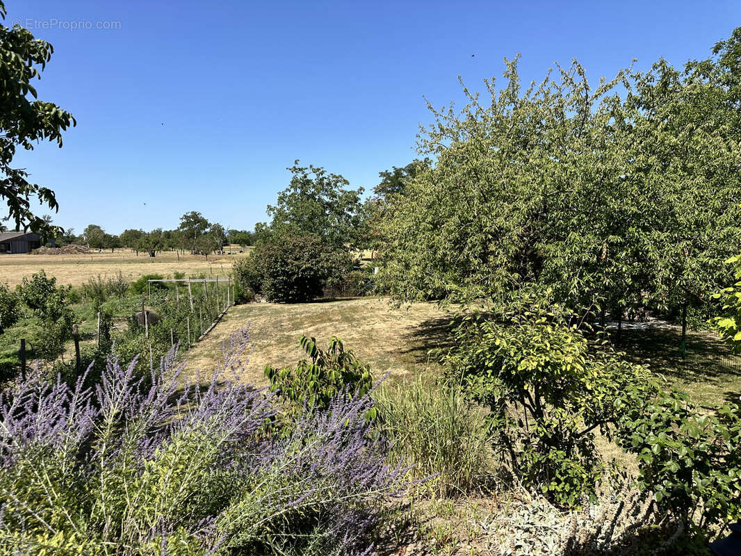 Une exclusivité dagon immobilier ! - photo 3
