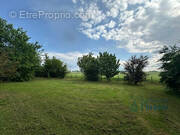 Terrain à SAINT-SATURNIN-SUR-LOIRE