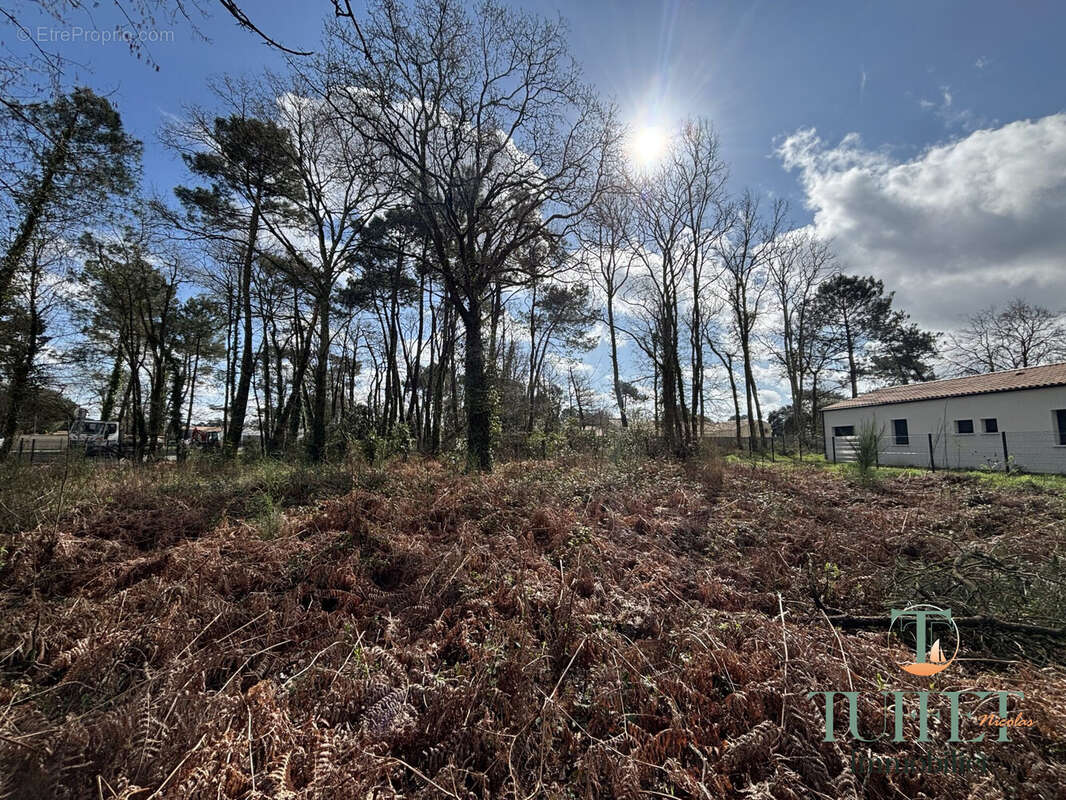 Terrain à LA TREMBLADE