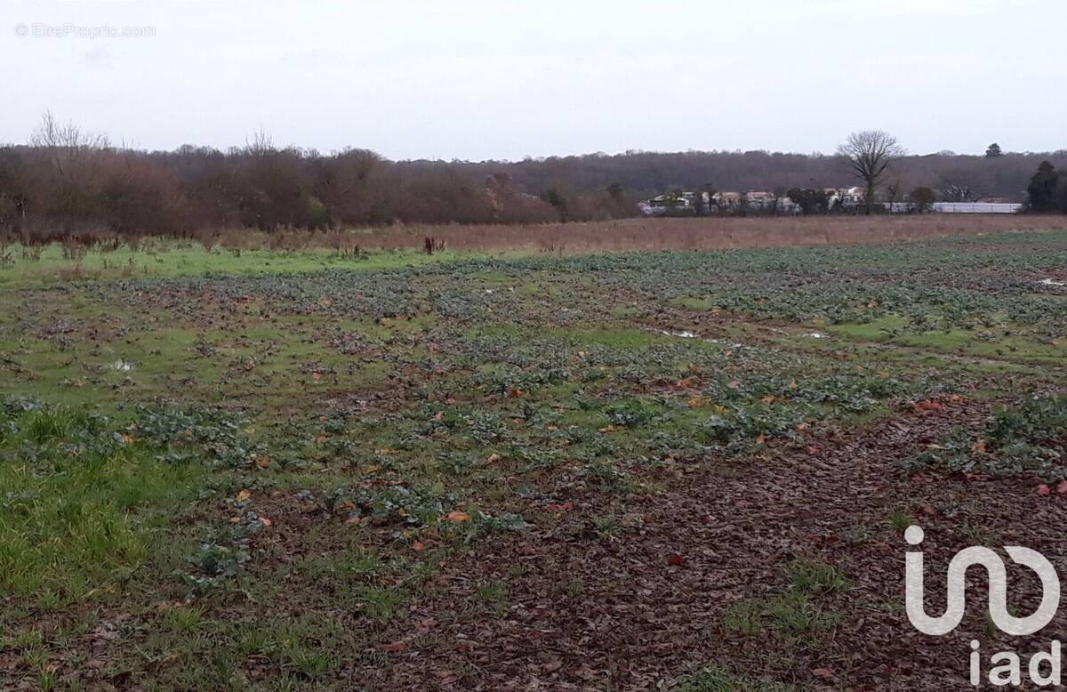 Photo 1 - Terrain à LIGUGE