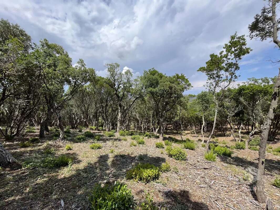 Terrain à SAINT-RAPHAEL