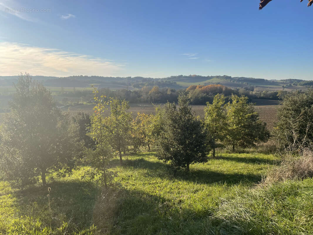 Hameau entouré de chênes truffiers et de cèdres - photo 12