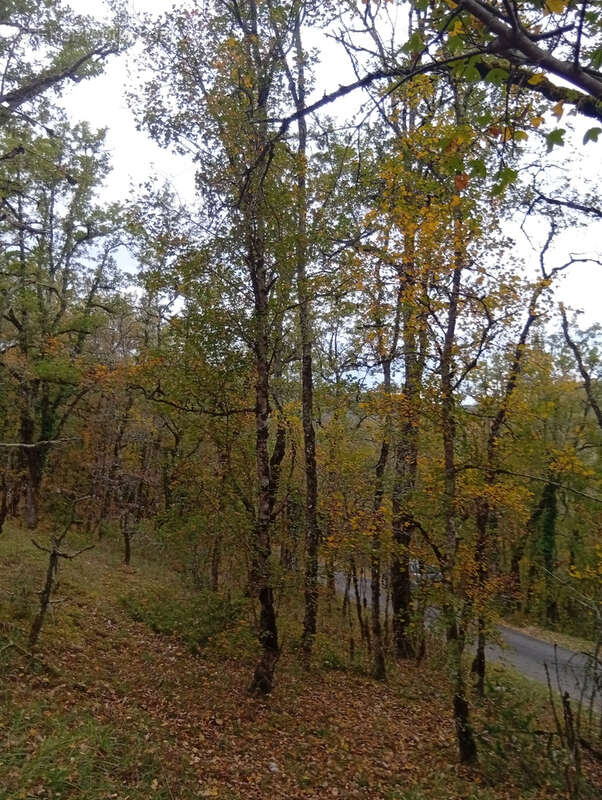 Terrain à LABASTIDE-DU-VERT