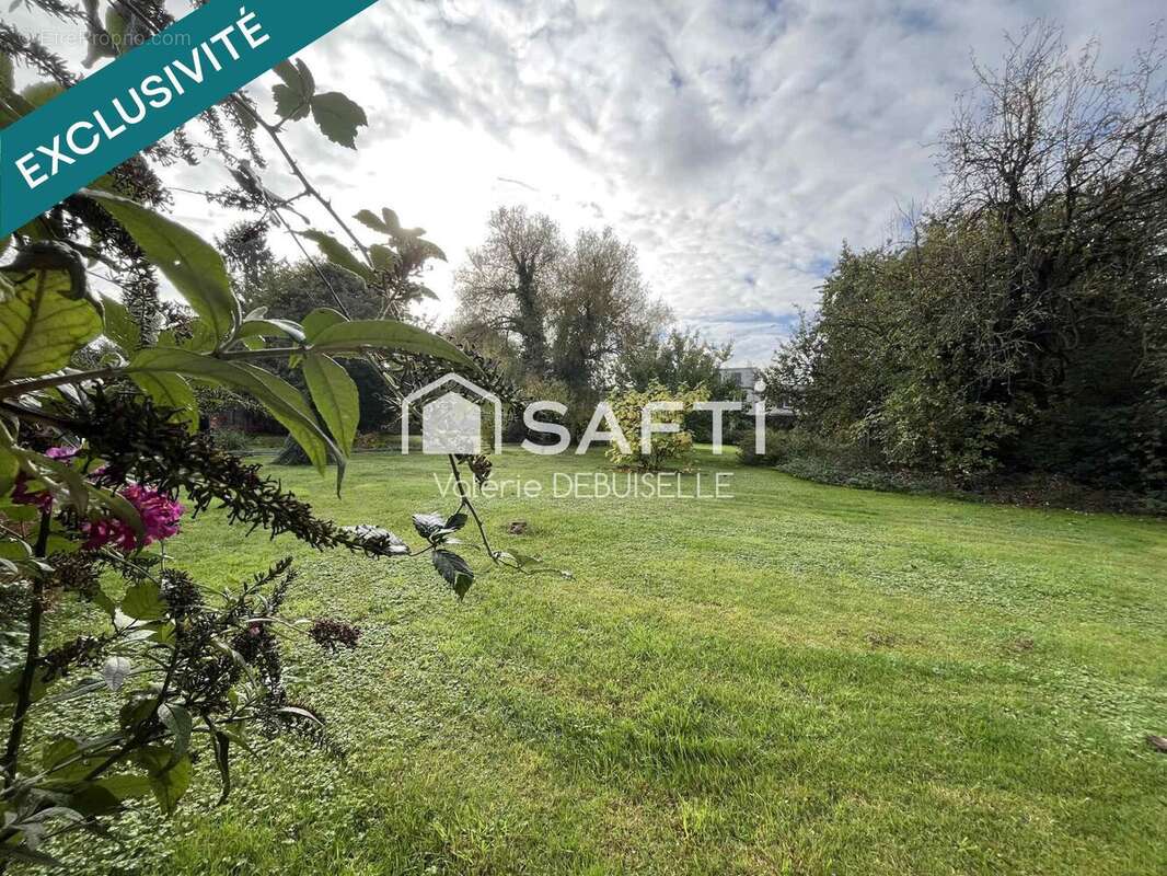 Photo 9 - Terrain à SALLAUMINES