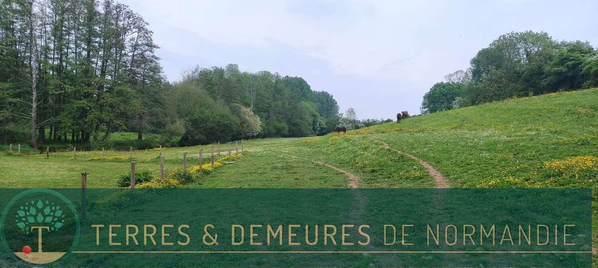 Maison à MEZIDON-CANON