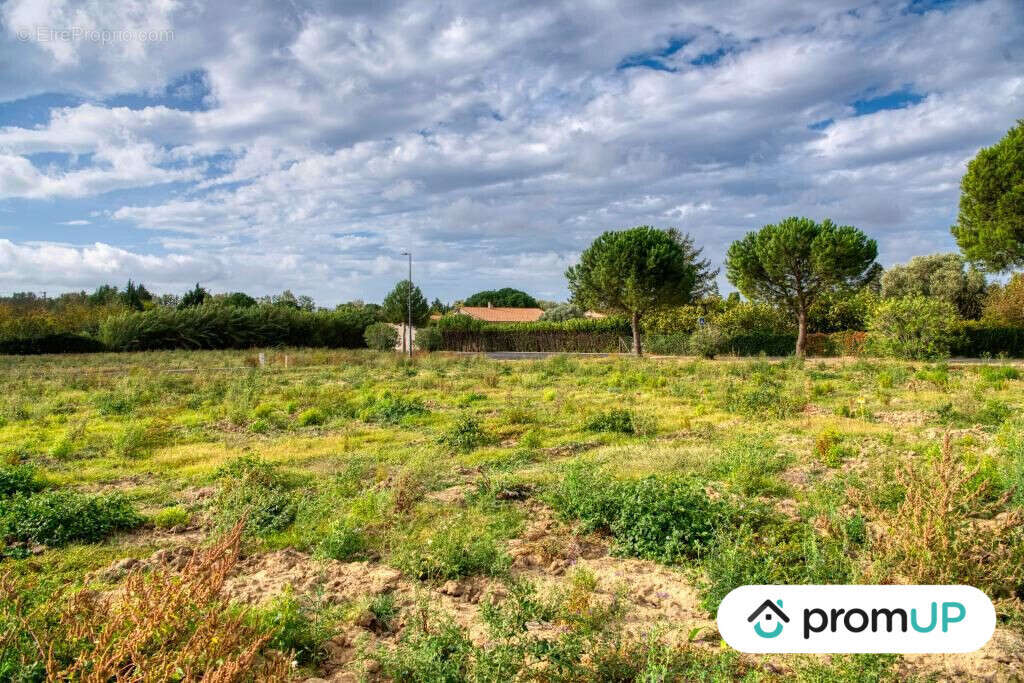 Terrain à VILLESEQUELANDE