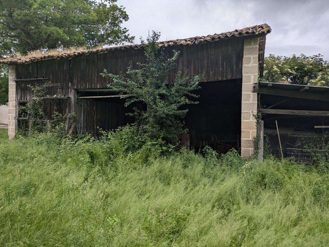 Terrain à CERCOUX
