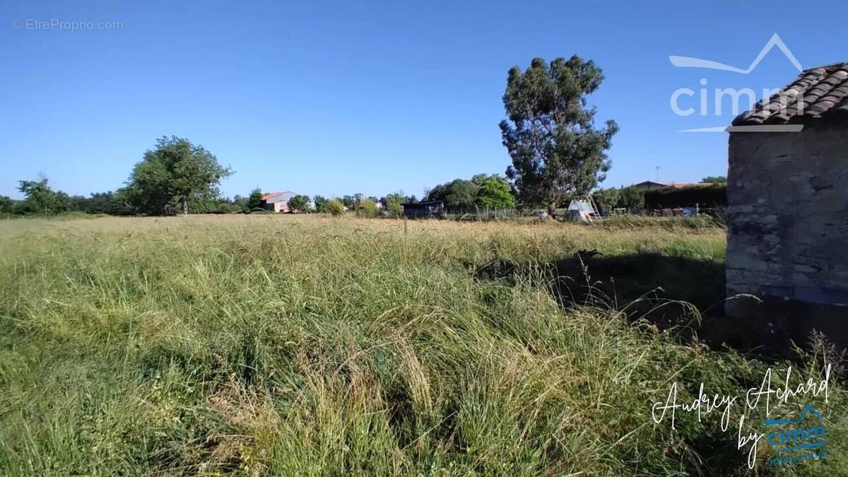 Terrain constructible 1 127 m² avec bâtisse à Eyrans - photo 2