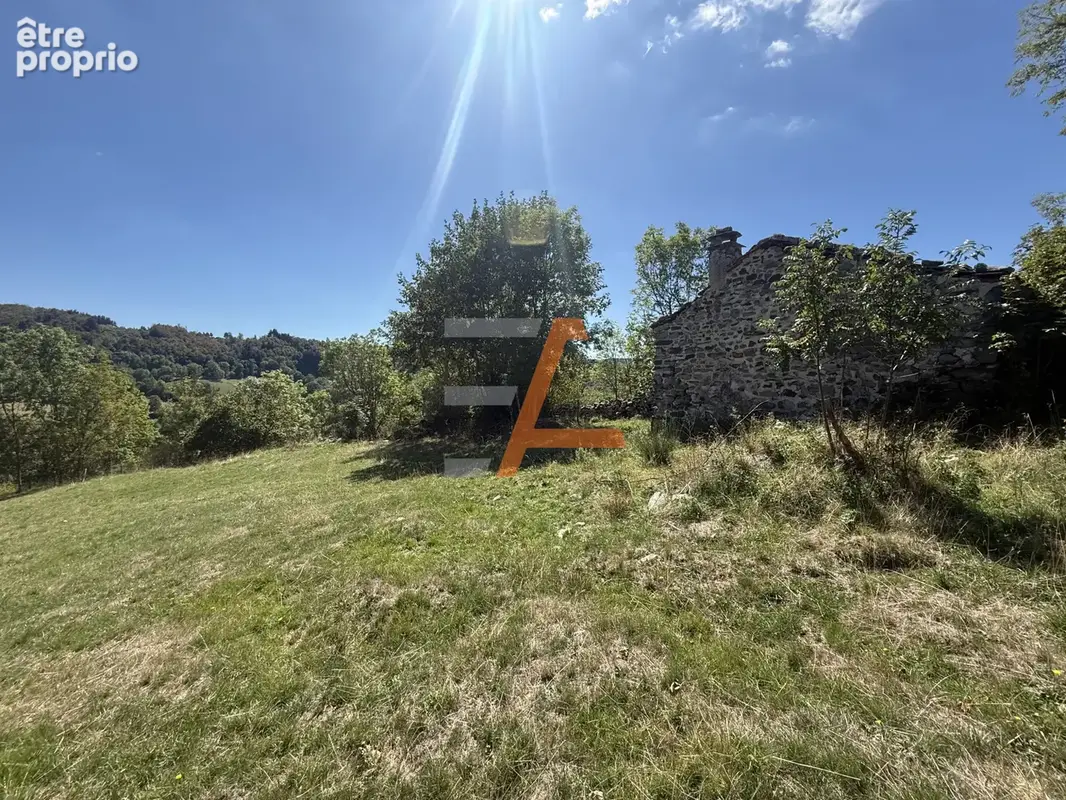 Bergerie à rénover avec 4 500 m2 de terrain   Montusclat - photo 2