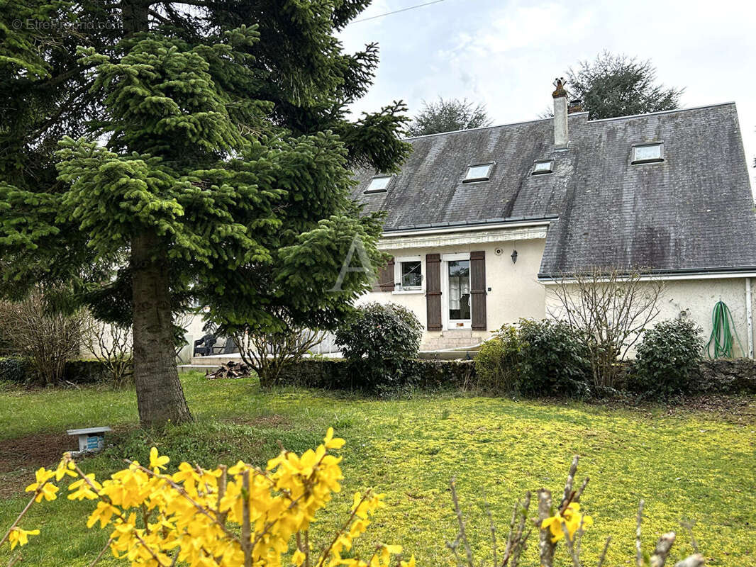 Maison à FAVEROLLES-SUR-CHER