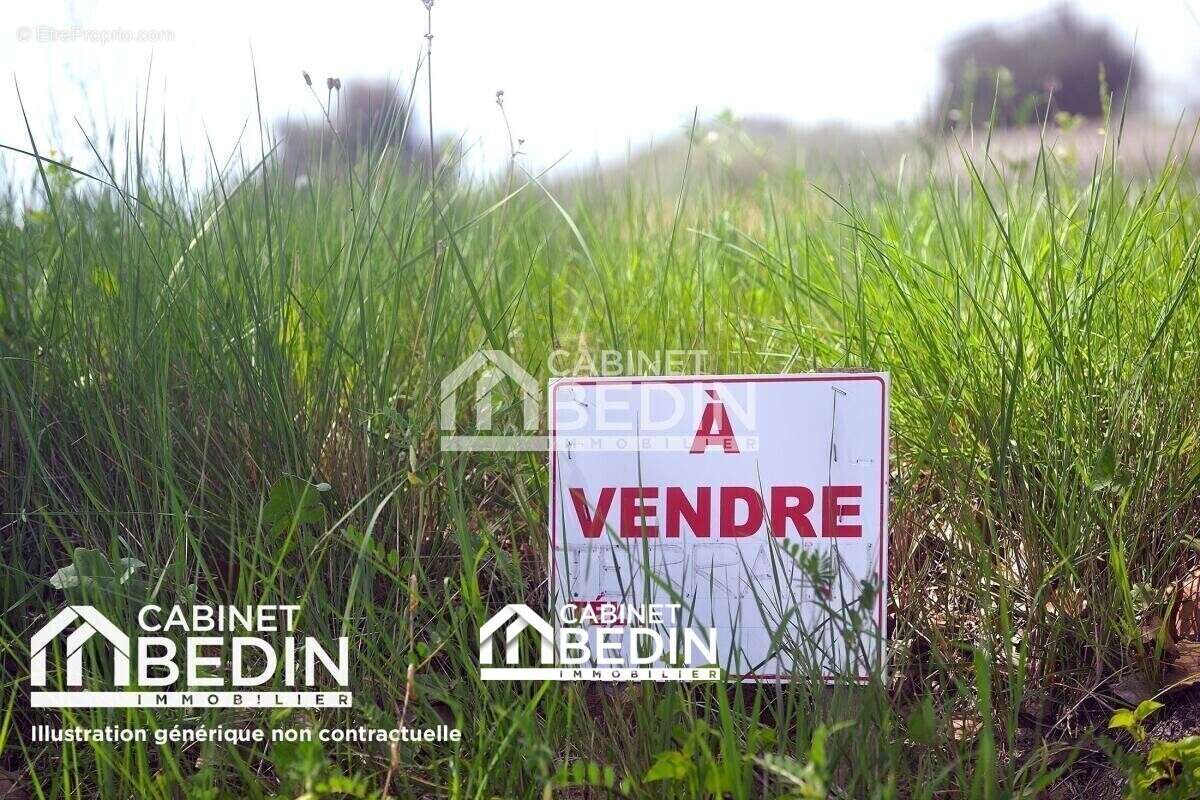 Terrain à BELIN-BELIET