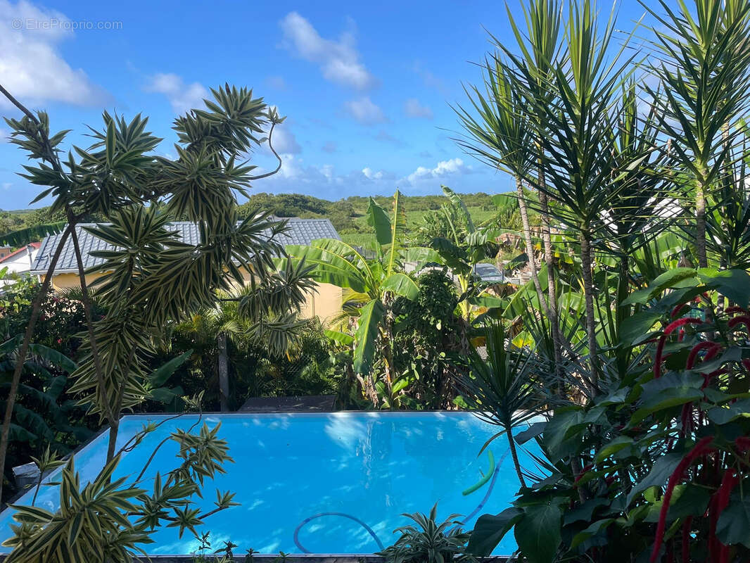 Maison à ANSE-BERTRAND