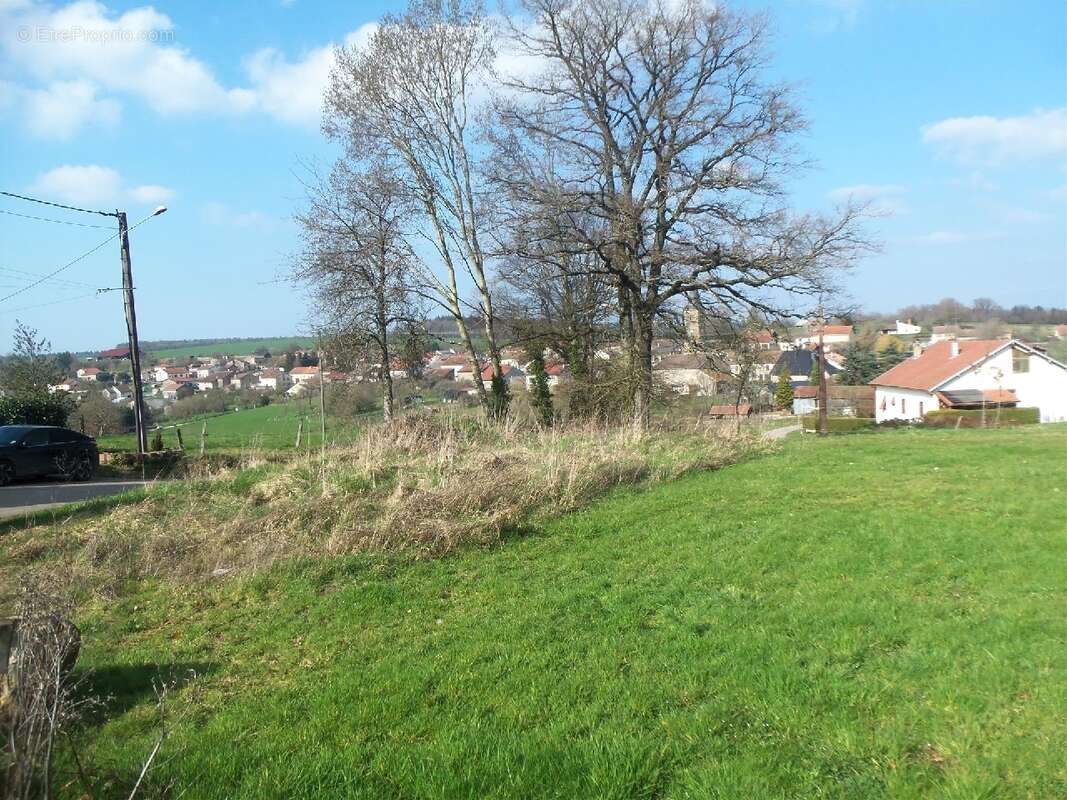 Terrain à SAINTE-BARBE