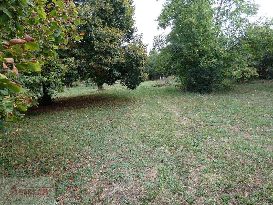 Commerce 343 m² à Cordes-Sur-Ciel  - photo 2