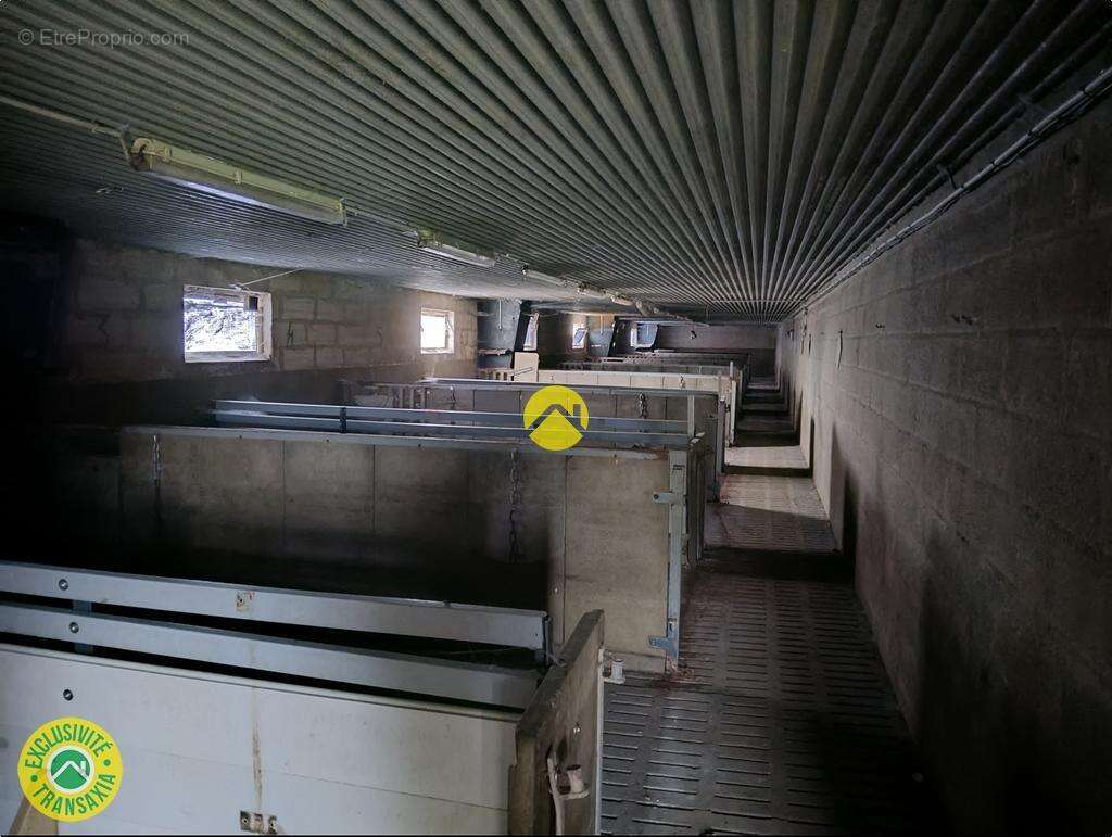 Bâtiments 1360m2  à côté de D1 - photo 12