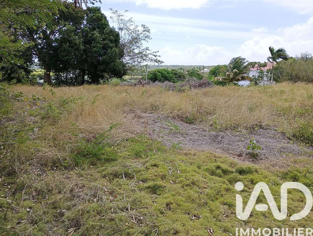 Photo 3 - Terrain à ANSE-BERTRAND