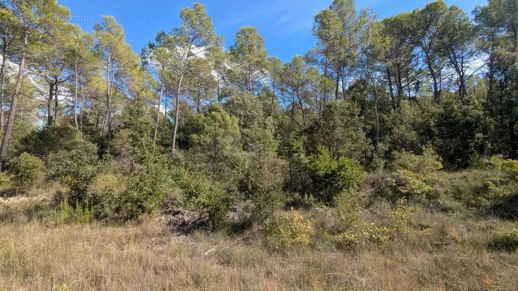 Terrain à ENTRECASTEAUX