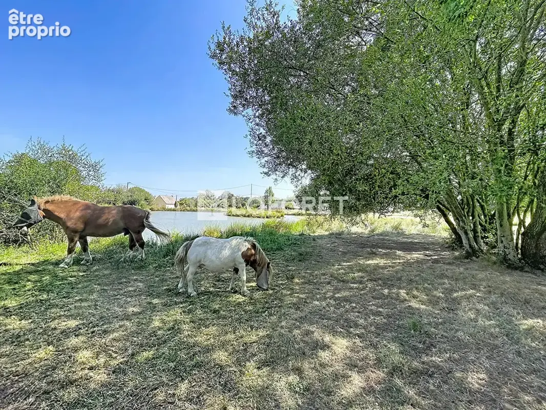 Terrain Allaire 16500 m2 - photo 4