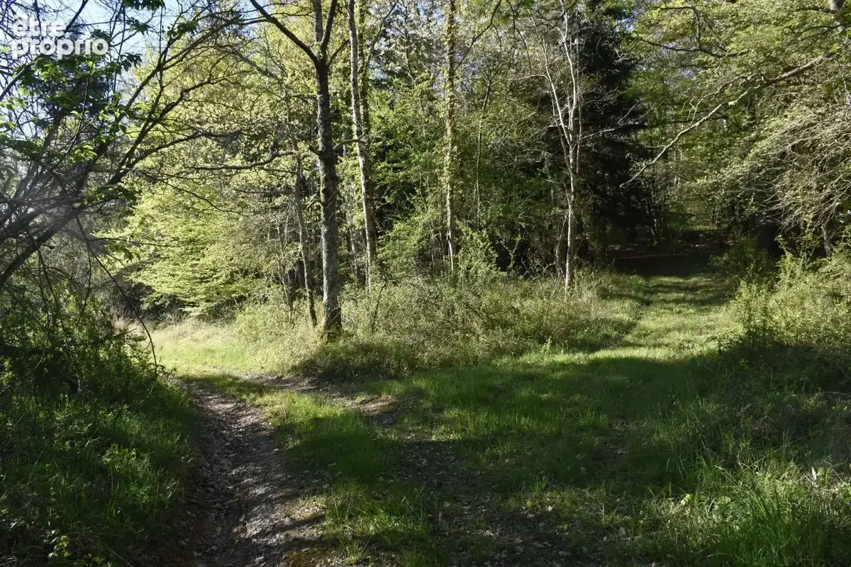 Exceptionnel !!! Ensemble immobilier sur 93 HA de terres avec ruisseau , sources ... - photo 3