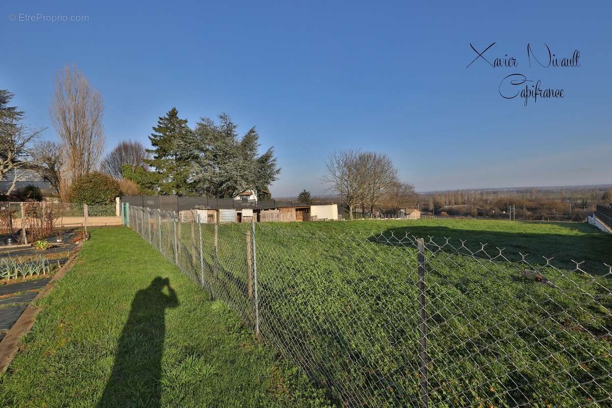 Terrain à vendre  SANCE (71) - photo 2