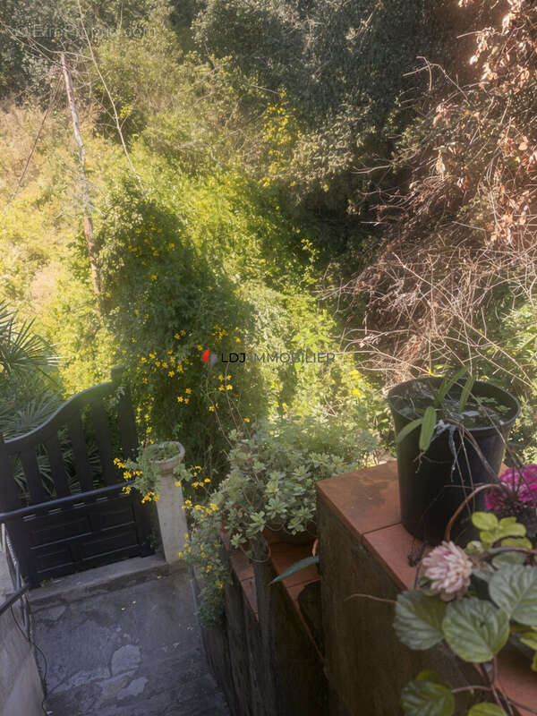 Appartement à AMELIE-LES-BAINS-PALALDA