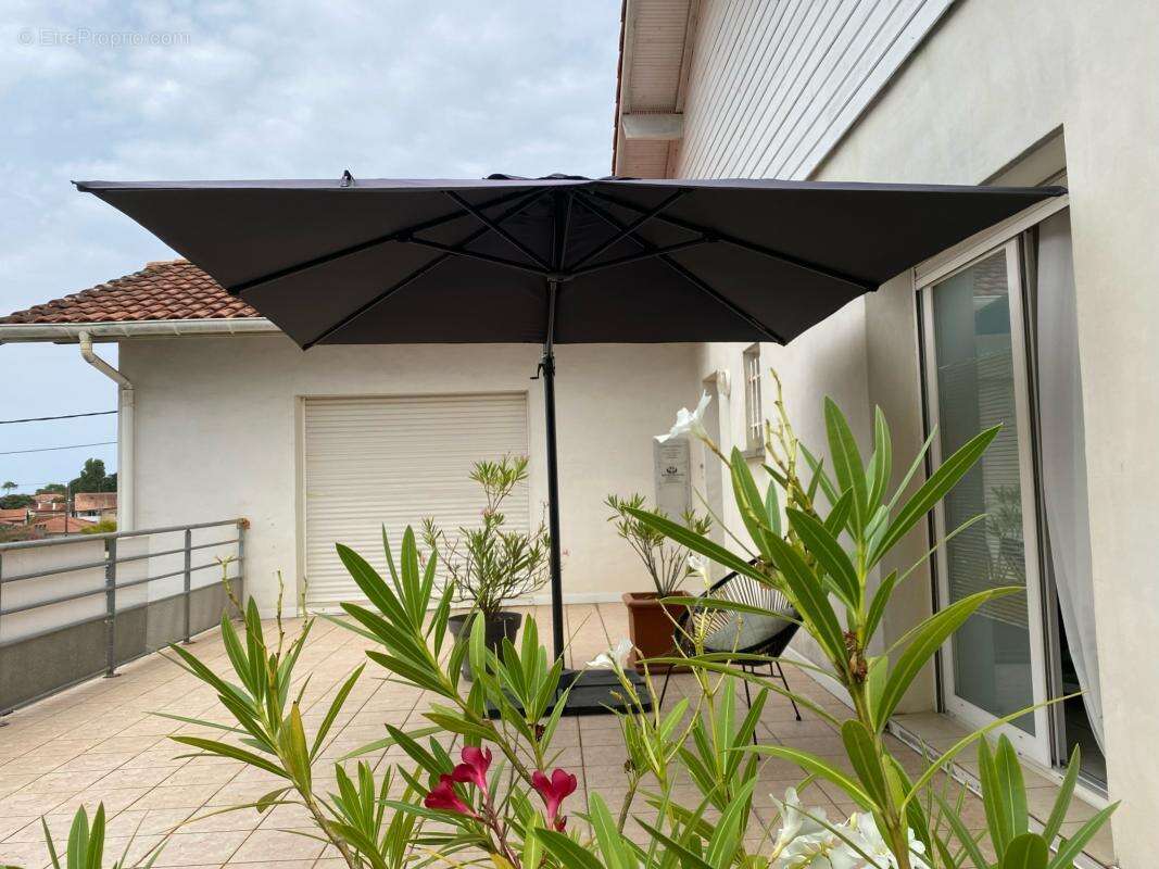 Commerce à CAPBRETON