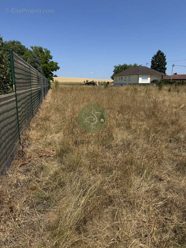 Terrain à GUMBRECHTSHOFFEN