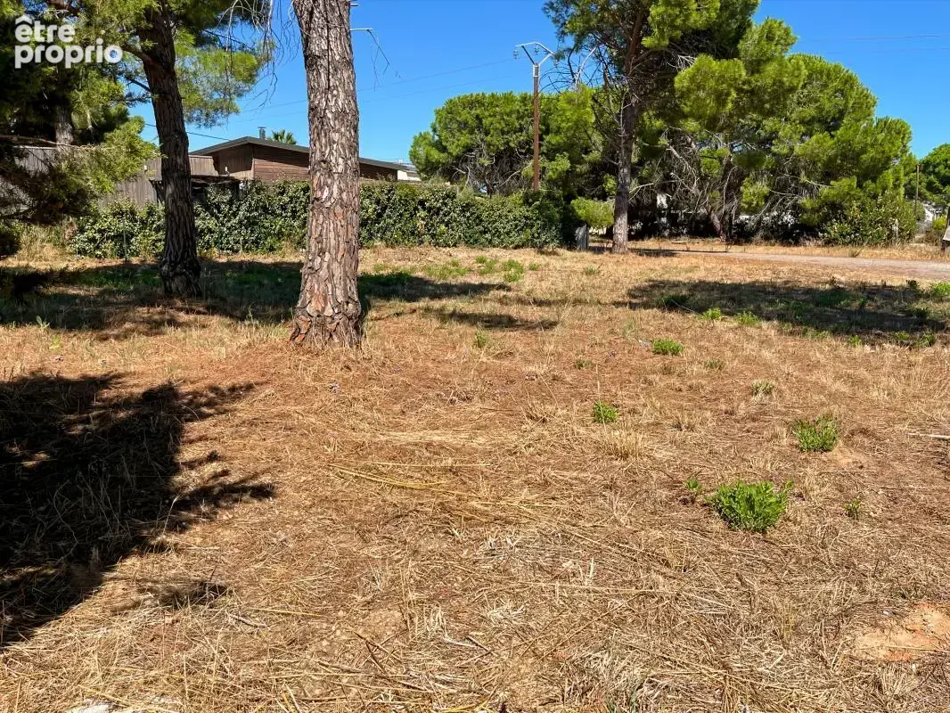 Vente grand terrain constructible à Marseillan - photo 3