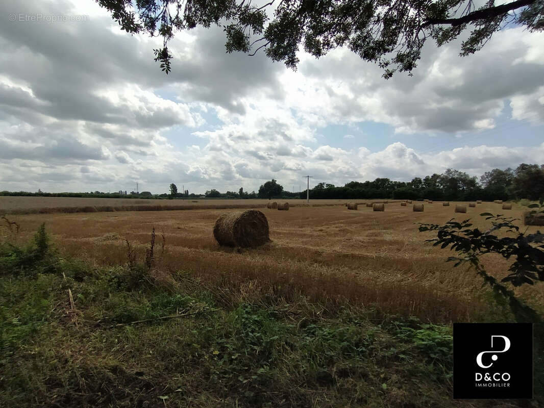 Terrain à LA CHAPELLE-DE-GUINCHAY