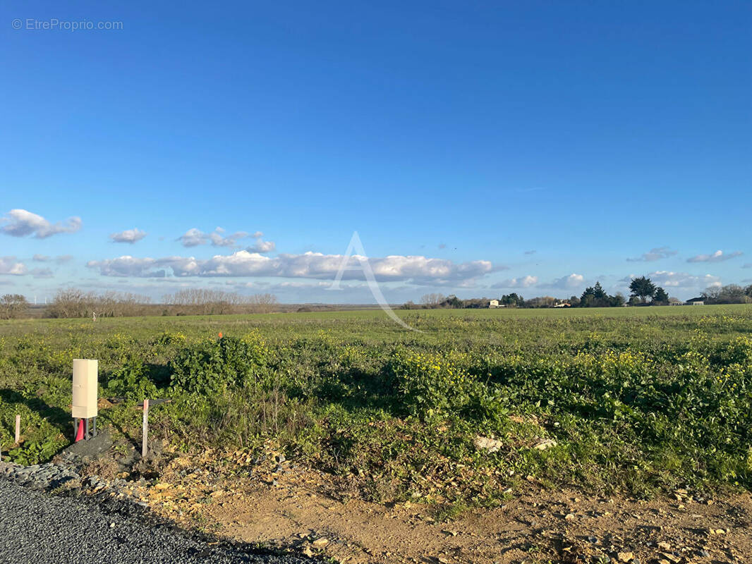 Terrain à CHAILLE-LES-MARAIS