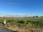 Terrain à CHAILLE-LES-MARAIS