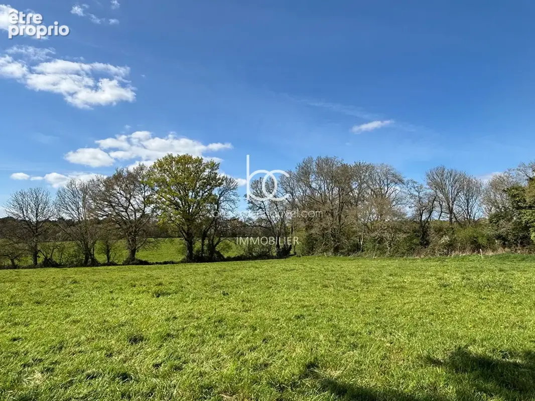 Berric - Terrain 1,5 hectare de Nature, Source et Ruisseau - photo 13
